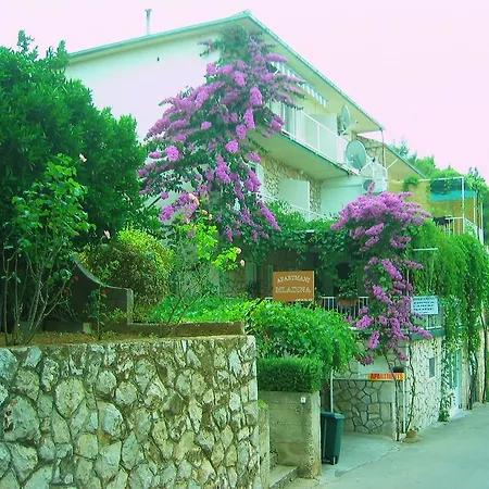 Volga Jelsa (Hvar)