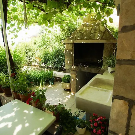 Volga * イェルサ